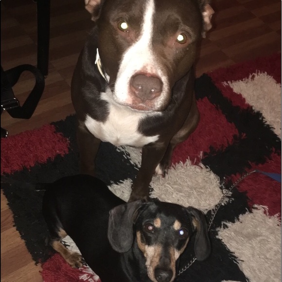 Meet your Posher, Hollywood - Picture 2 of 3